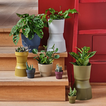 VASO MINI 15 ASH 2