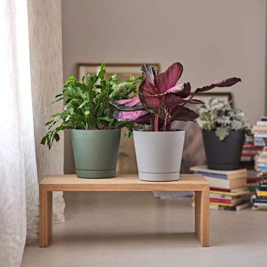 VASO ORIONE D.24 BLUSH