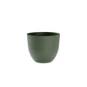 VASO OVER D.28 FOREST