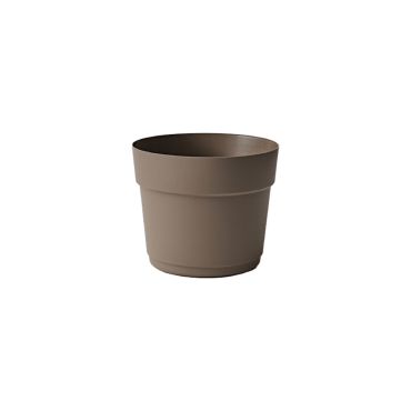 BLOOM 24 SAND