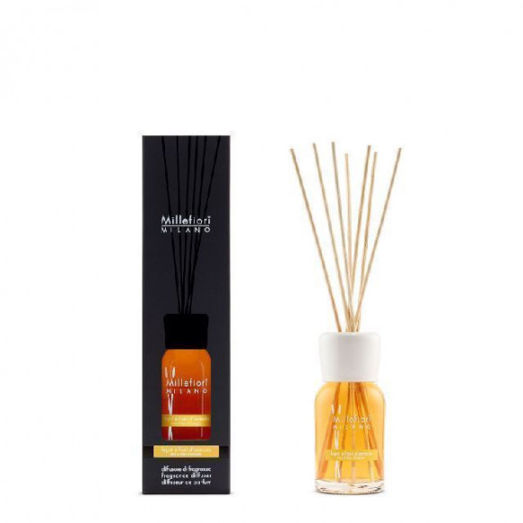 DIFFUSORE A STICK 100 ML LEGNI E FIORI D