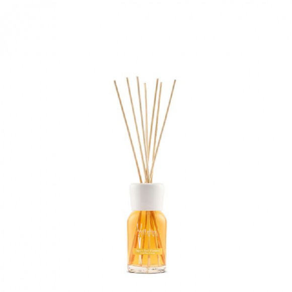 DIFFUSORE A STICK 100 ML LEGNI E FIORI D