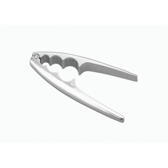 SCHIACCIANOCI 'PRESIDENT'