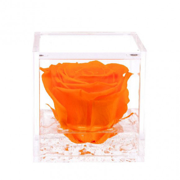 FLOWERCUBE 10X10 ARANCIO 2