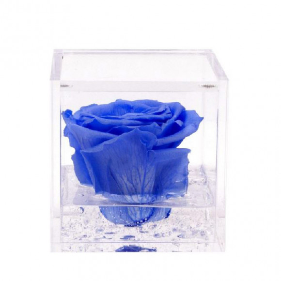 FLOWERCUBE 10X10 AZZURRO 2