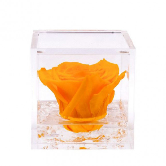 FLOWERCUBE 10X10 GIALLO