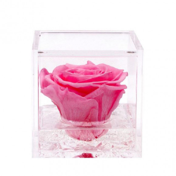 FLOWERCUBE 10X10 ROSA
