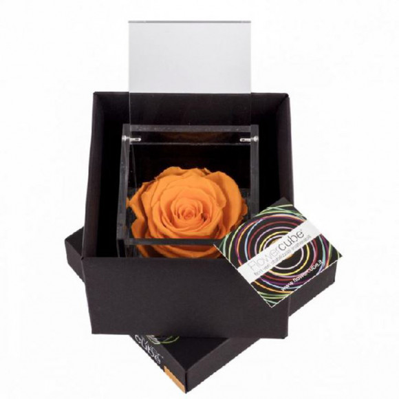 FLOWERCUBE 6X6 ARANCIO