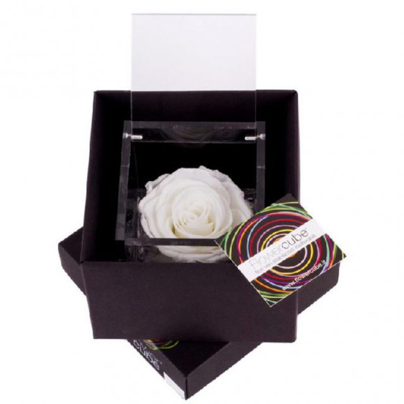 FLOWERCUBE 6X6 BIANCO