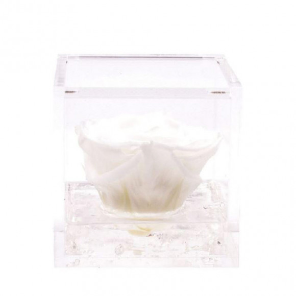 FLOWERCUBE 8X8 BIANCO