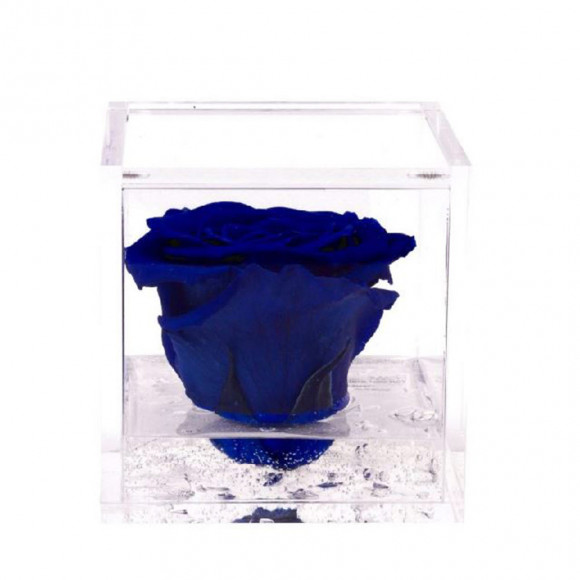 FLOWERCUBE 8X8 BLU 2