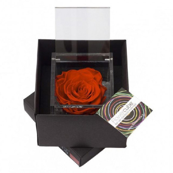 FLOWERCUBE 8X8 ROSSO