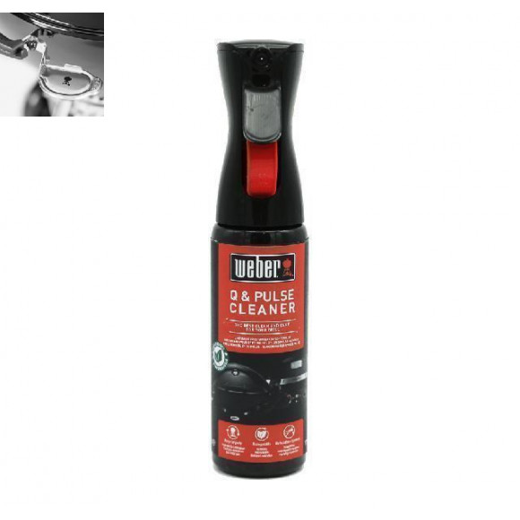 DETERGENTE Q/PULSE 300 ML