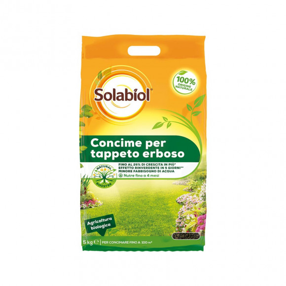 CONC. TAPP. ERBOSO 5KG